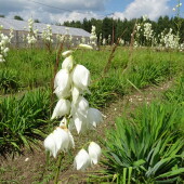 7931e207e25606b96e13ca7a399aeea9