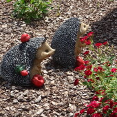 9a835cdbef4e95aff2280a0e50c62788