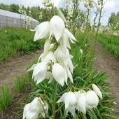 9bf677e1b469152160a4feec82ba2674