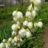 a861c57a3b8b6ddfeff900fb2b1b8df3