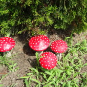 b2a80a0afafdd62548aa3f53b78bd081