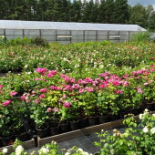 c54e417e8bacf200432268d101f7bfc0