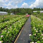 c7cb3dadb3e00fa279955b11e02f9df9