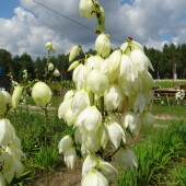 f34f394fca8d592d7effda2ece09667e