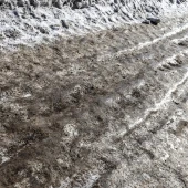 492957c4e194517fd9fd7d335cc5bb56