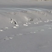 2532cbc83afa11875b9e89c5cbce2bd8