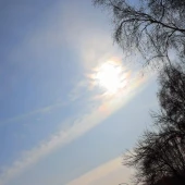 912911b6c03c067920f604dc5fd41c3b