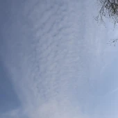 92fa0a3d68763115968af5a20186c442