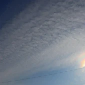 d2585b945051ad44f47835765a01e5fe