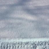 edf44d8050434c020e49b67e6b7d4c9d