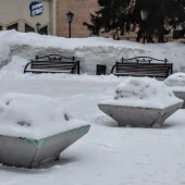 43d76dd996660dbdc21ac99de4b1ff96