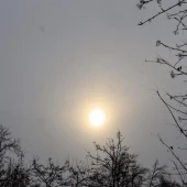 88b39ffd1c6cfccbda6d62c65a0f15ab