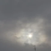 8bd7d0a101364f4576174f417d4169f8