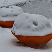 b02d67b0961bb7aa13c70638bffe36e8