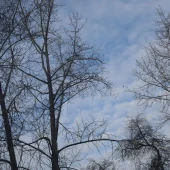 b67a2fcc9d9930713328f7e9ddc174e5