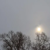 f85b08336a77d31e339f02725253b3f6