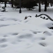 c237e25d579b9b0d84f8f00fcd323d84