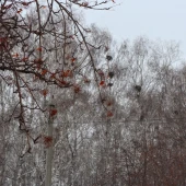 77b03e1b11cfebae7ffba544d2d8c2e5