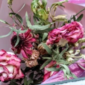 9eeb43825cd65719f4bd50ac7a7f1732