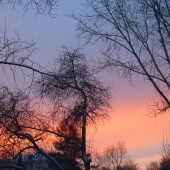 a52bb85504476ecac79407150a798d49