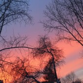 d4f8d98fbbc1508d71e968be6b083cfa