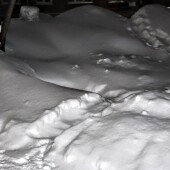 eb7e8a8cf4f0136f3ea855a00f87f6ff