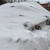 1ab1de464c22a4d7360f876e95ac5a57