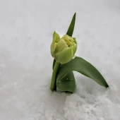 688889d0597eaabbdca402c56bc086e8