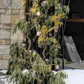 80464eb341052dd82fdf9728d40bab9e