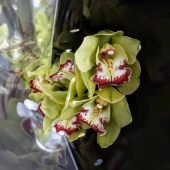 a4868a1c647d68c95df0153aaf4840ae