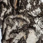 ed0680e993b88cacd9e8469d5666774d