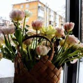 f2959954ba587bae6efd25d07d6904f4