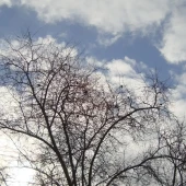 4d3cd8a4d7ca5117cb9bfe8a2e5c048a