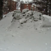 b4b5e5c99f18ec7fb8181d9cee66ccd4