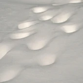 cdcc1533335414e292cfe0442c975942