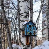 0b2c95c7bb9e734a9d42f42109739c79