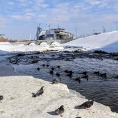 21a96bee4dcb8cba44c202021d668a03