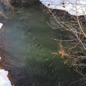 e9330c2182605a6f131d0cbb7a38a56f