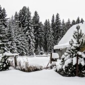 2df99f34a2d6539308093e962ac32058