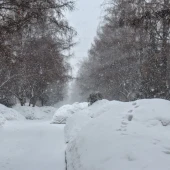 49dd9ed0e390f9efd83778d3624317ab