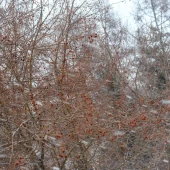 79866d8a9028e002a4b501e719169ada