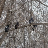 854fbdb9daabc677fe5218a75dbe99f9