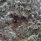 9d338c11334c08f7255042e535f88160