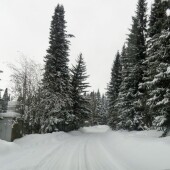 e178e91db588ef7c7c01ef1171ed41ad