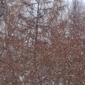 eb18828aa90012da121785516414eac9