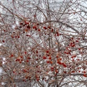 efa57109d643a43e3b89e69706195633