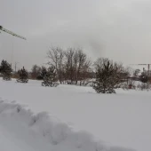 43c060bbd8a52ea29ce620e520fe0176