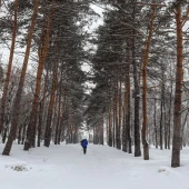 53117c84b841df17476ddf2de93745f1