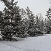 5b9cafd40f7706ecc7f0635d31048c0e