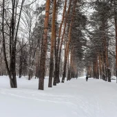 7633e8e08fdcc47fa481fca5811768db